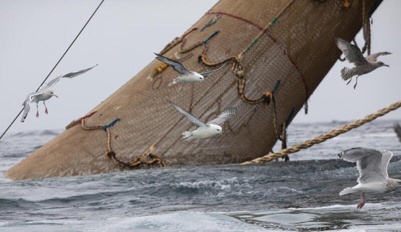 The Helen Mary supertrawler dragging its net through an MPA in Scotland