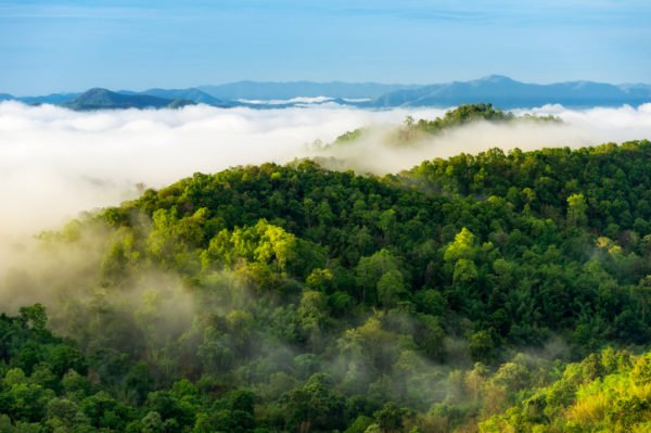 Beautiful mist over green forest over the mountain range, north Thailand
