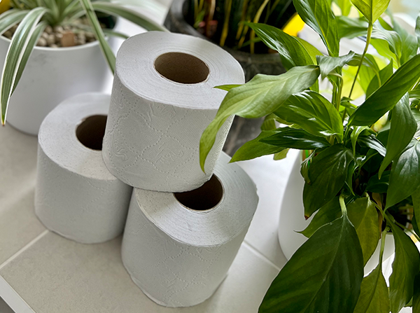 Honest Supplies Toilet Paper