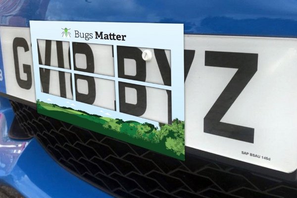 The Bug Matters Splatometer on a number plate