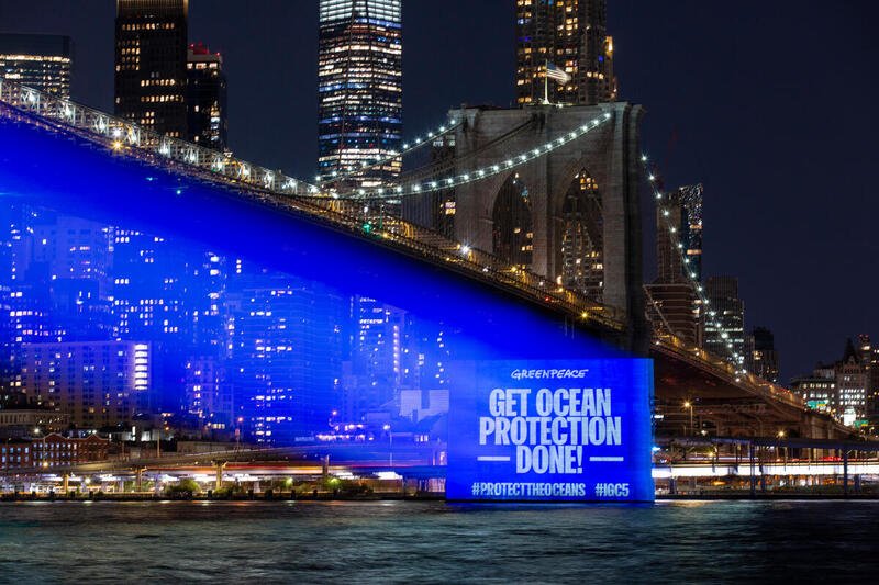 'Protect the Oceans' Projection on Brooklyn Bridge
