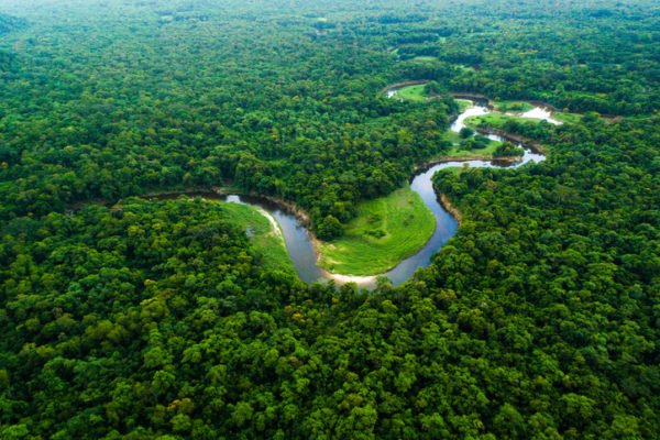 Aerial shot of the Amazon in Brazil