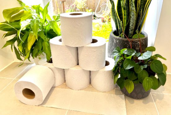 Honest recycled toilet paper