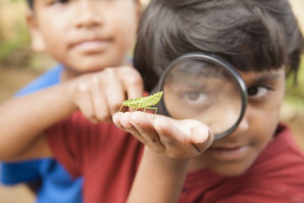 Elementary-age boy enjoys discovering nature with a magnifying glass