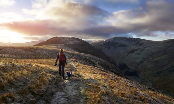 A hiker and their dog walking towards the mountain summit of High Spy from Maiden Moor at sunrise