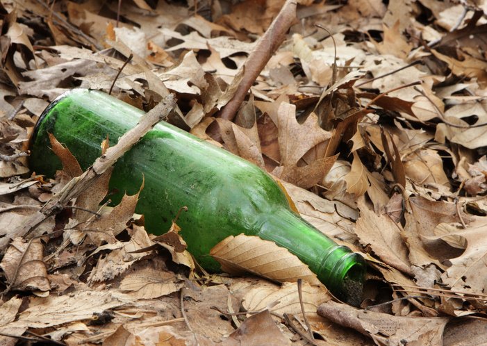Green beer bottle discarded among dead autumn leaves, littering the forest