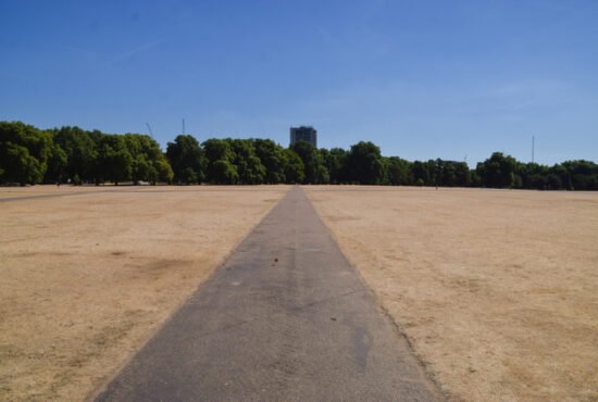 Parched landscape in Hyde Park in London, as a result of persistent heatwaves and dry weather caused by climate change