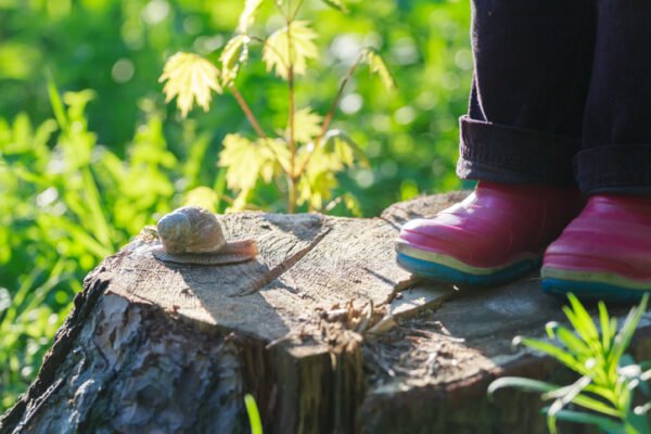 Preschooler's feet in red wellies, standing on tree stump next to a snail