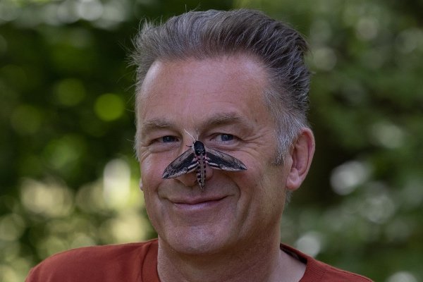 Chris Packham, Vice President of Butterfly Conservation