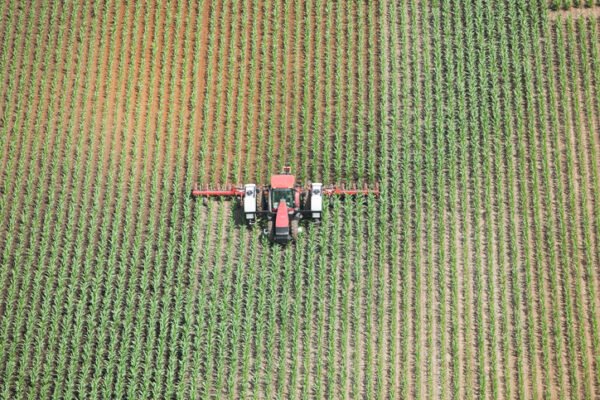 Aerial view of a tractor towing an applicator is spraying liquid fertiliser on a late spring corn field