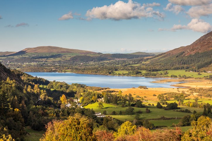 A view of Bassenthwaite Lake, from Whinlatter Forest, Cumbria, Lake District