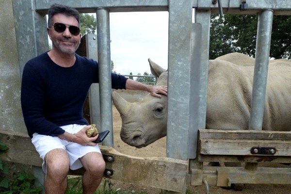 Simon Cowell with a white rhino and its gilded dung