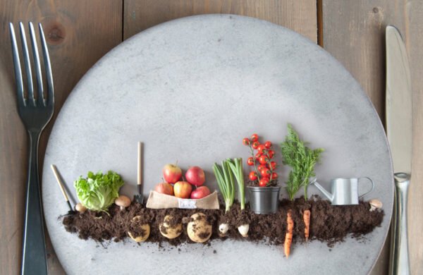 Organic fruit and vegetable garden on a kitchen plate