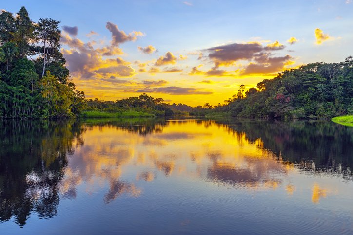 A magic sunset in the Amazon Rainforest inside Yasuni national park