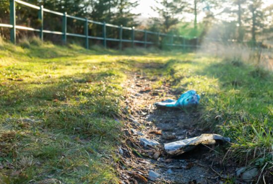 Plastic bottle litter left on a countryside path in the low winter sun