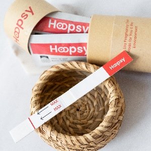 Hoopsy Eco Pregnancy Test