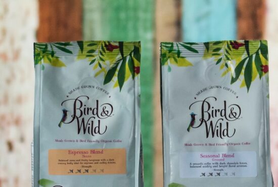 Bird and Wild Coffee