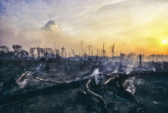Deforestation fire in the Amazon