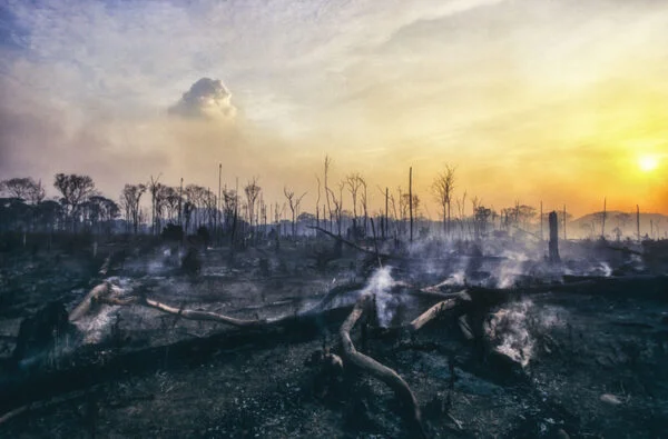 Deforestation fire in the Amazon