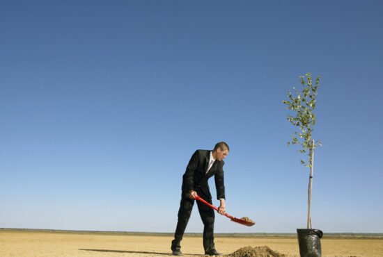 Businessman planting tree in desert