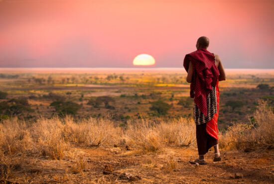 Masai man, wearing traditional blankets, overlooks Serengeti in Tanzania as the colorful sunset fills the sky. Wild grass in the forground