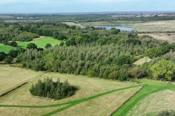 Aerial view of the National Forest