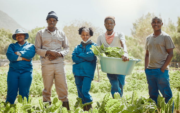 Shot of a group of young farmers standing together while harvesting fresh spinach