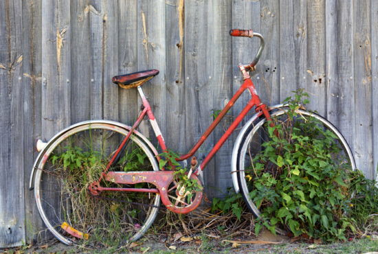 Forgotten old red bicycle leaning against a fence, with plants growing on and round it