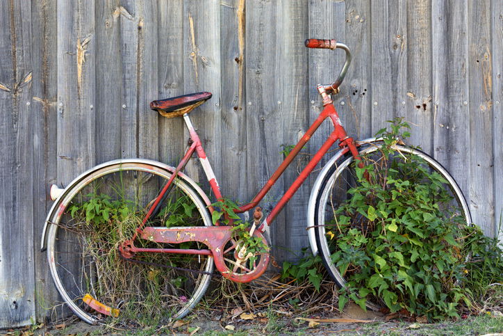 Forgotten old red bicycle leaning against a fence, with plants growing on and round it