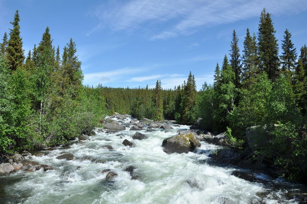 Europe’s rivers benefit only little from current protected areas – as seen here with the Vindel River in Sweden’s Vindelfjällen Nature Reserve