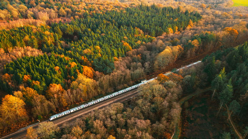 Aerial view of passenger train travelling through autumn forest landscape