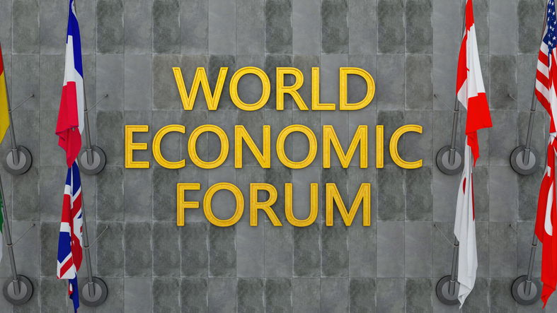 World Economic Forum Gold Text Against a Grey Stone Wall with National Flags