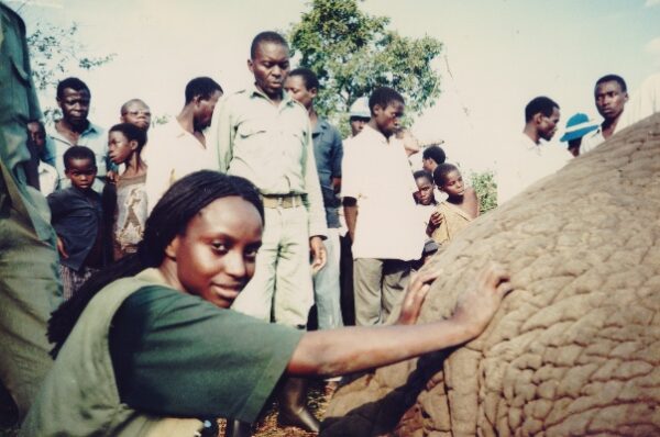 Dr Gladys during the translocation of elephants from Mubende to Queen Elizabeth National Park. Photo by Gladys Kalema-Zikusoka