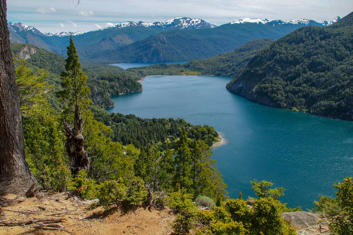 Lago verde lake at Los Alerces national park, Argentina